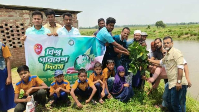 সাপাহারে বিল পাড়ে গাছ লাগিয়ে বিশ্ব পরিবেশ দিবস উদযাপন