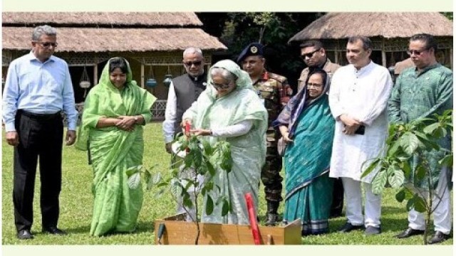 সবাইকে ৩টি করে গাছ লাগানোর আহ্বান প্রধানমন্ত্রীর