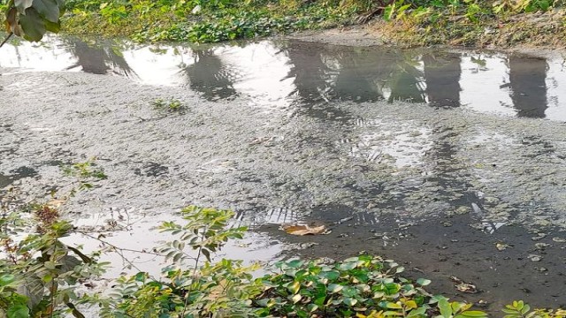 নয়নজুলি অবস্থিত কিবরিয়া পেপার মিল ও চেরিশ ফিড মিলের বর্জ ও ময়লা পানি