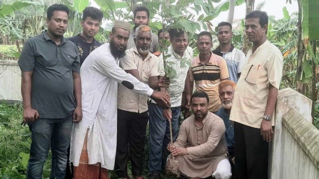 প্রধানমন্ত্রী শেখ হাসিনার নির্দেশনায় বগুড়া সদরের লাহিড়ীপাড়া জাহানাবাদে বৃক্ষ রোপন কর্মসূচি পালন