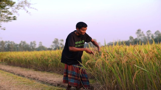 আইফার্মারকে আরও বেশি কৃষকের কাছে পৌঁছাতে ও দেশজুড়ে সরবরাহ-শৃঙ্খলের সক্ষমতা বৃদ্ধিতে ভূমিকা রাখবে এই বিনিয়োগ