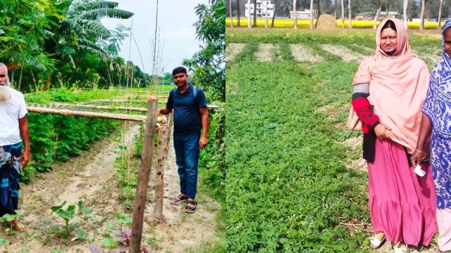 শীতের আগমনী বার্তায় শীতকালীন সবজি চাষে ব্যস্ত আত্রাইয়ের কৃষক