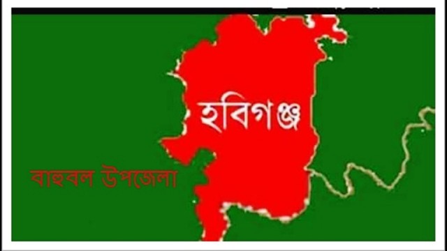 বাহুবলে গাছ কাটতে গিয়ে ঢাল পড়ে চা শ্রমিকের মৃত্যু। 