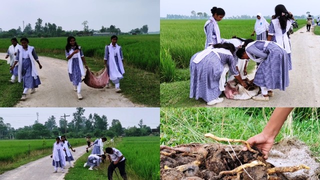 বজ্রপাত ঠেকাতে হিলিতে স্কাউট দলের তালবীজ রোপন