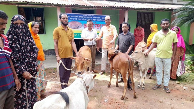 শেরপুরে সমাজ উন্নয়ন সংস্থা’র উদ্যোগে বিনা মূল্যে ৬টি বকনা গাভী বিতরণ