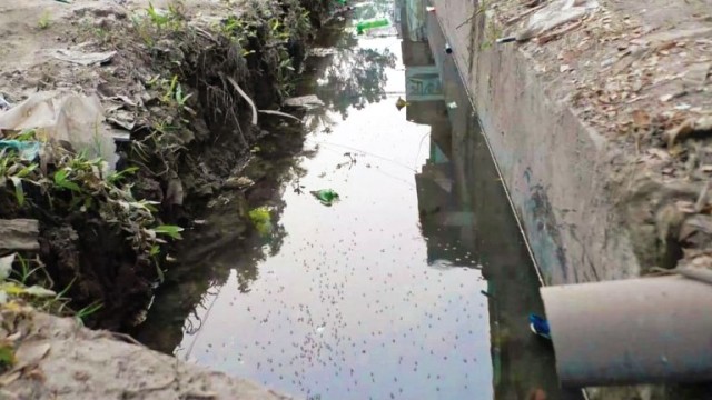 নড়াইল শহরের যেখানে-সেখানে প্রস্রাব করায় পরিবেশের পাশাপাশি মশার উপদ্রব অতিষ্ঠ হয়ে উঠছে বাসিন্দাদের জনজীবন