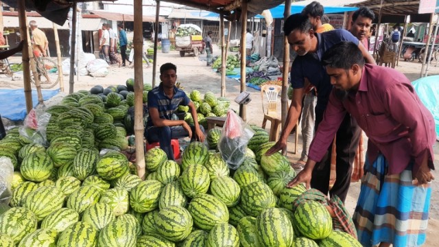 আদমদীঘির বাজারে এসেছে রসালো ফল তরমুজ, দাম চড়া। 