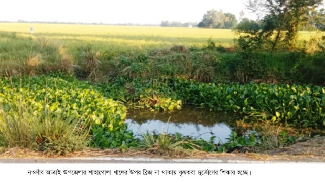 আত্রাইয়ে একটি ব্রিজের অভাবে থমকে আছে কৃষকের স্বপ্ন