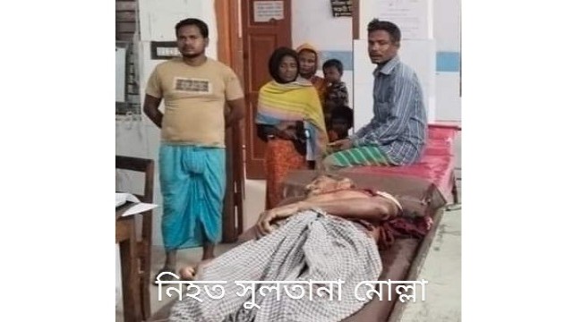 নড়াইলের চাঁদপুর গ্রামে দুইপক্ষের সংঘর্ষে নিহত ১,আহত ৫