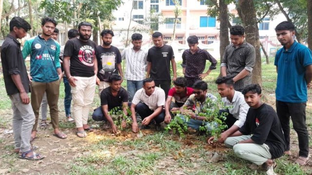 জিয়াউর রহমানের ৪৩ তম শাহাদতবার্ষিকী উপলক্ষে বগুড়ায় ছাত্রদলের বৃক্ষরোপণ