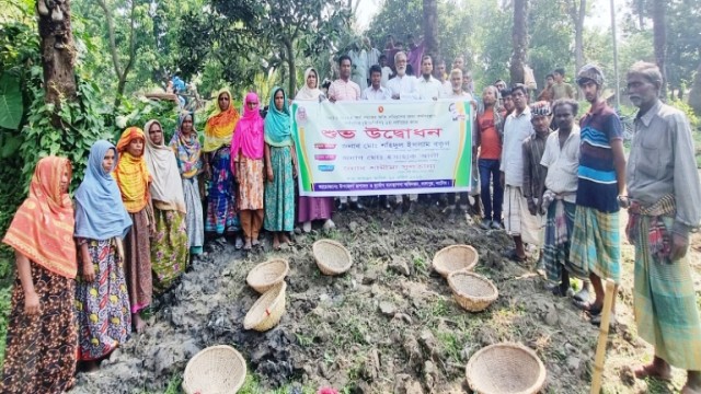 লালপুরে কর্মসংস্থান কর্মসূচির প্রকল্পের ২য় পর্যায়ে কাজের উদ্বোধন।