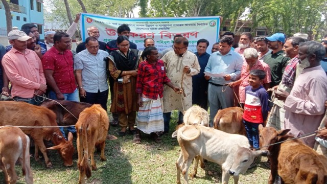 লালপুরে ভেড়া, গরু ও অনুদানের চেক বিতরণ।