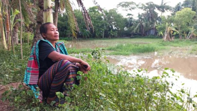 বরগুনা রাখাইনদের জমি দখলের অভিযোগ