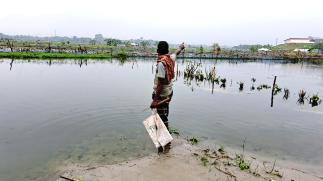 নড়াইলে বর্ষা মৌশুমে কয়েক দফা ভারী বর্ষনে মৎস্য ও কৃষি খাতে ক্ষতি শত কোটি টাকা