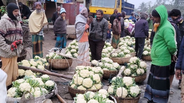 নওগাঁয় ১ টাকায় মিলছে ২ পিস ফুলকপি