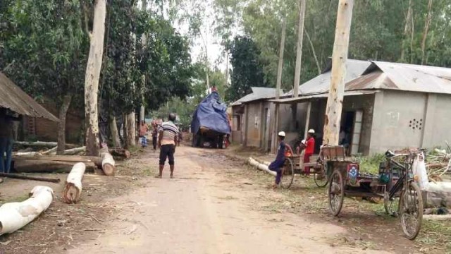 সাবেক চেয়ারম্যানের সরকারি রাস্তার গাছ কর্তন অতঃপর জব্দ