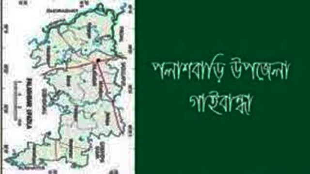 পলাশবাড়ীর বেশ কয়েকটি স্থানে দু:সাহসিক চুরি সংঘটিত 