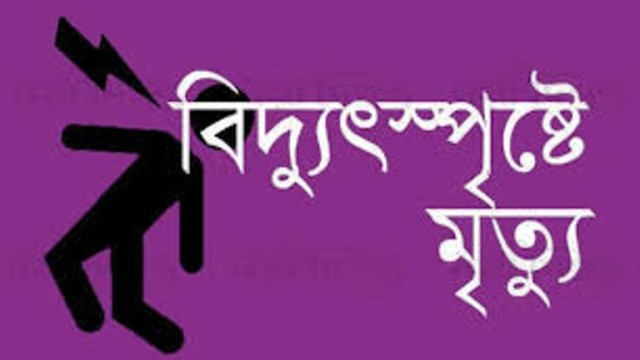 পীরগঞ্জে বিদ্যুৎ স্পর্শে নিহত ১