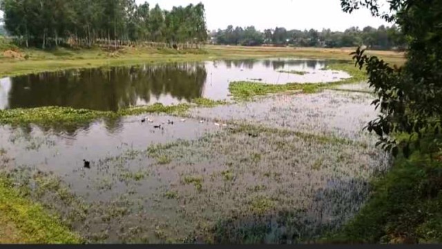 পীরগঞ্জে খাস জলাশয় নিয়ে দ্ব›দ্ব প্রতিহিংসার শিকার মাছ!