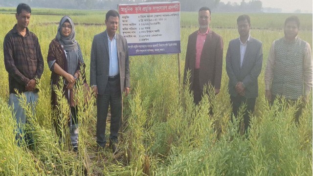 লাভবান হবেন প্রায় ২”শ কৃষক কাহালুতে জনপ্রিয় হয়ে উঠছে  রিলে পদ্ধতিতে সরিয়া চাষ