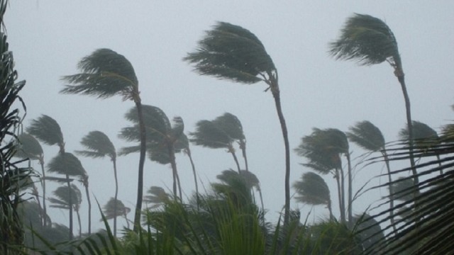 ৯ জেলায় ৮০ কিমি বেগে ঝড়ের পূর্বাভাস