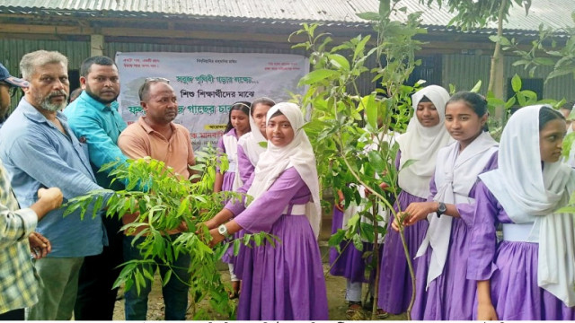বগুড়ায় তিন শতাধিক শিক্ষার্থীকে গাছের চারা দিলো এডুকেশন ফাউন্ডেশন