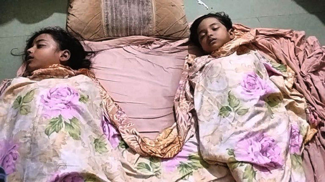 সেনবাগে পুকুরের পানিতে ডুবে দুই বোনের মৃত্যু।