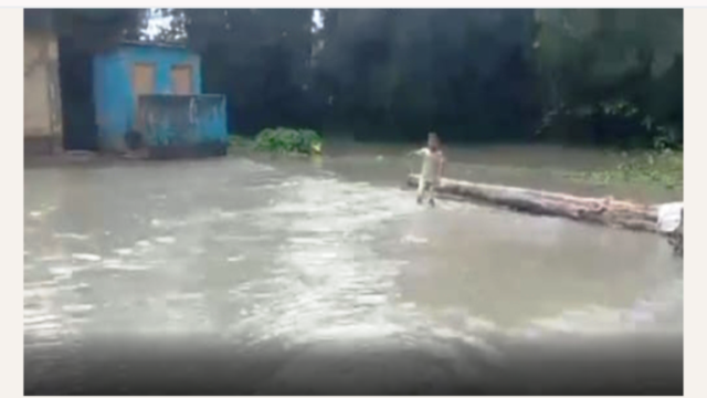 পিরোজপুরে বেড়িবাঁধ ভেঙে নিম্নাঞ্চল প্লাবিত