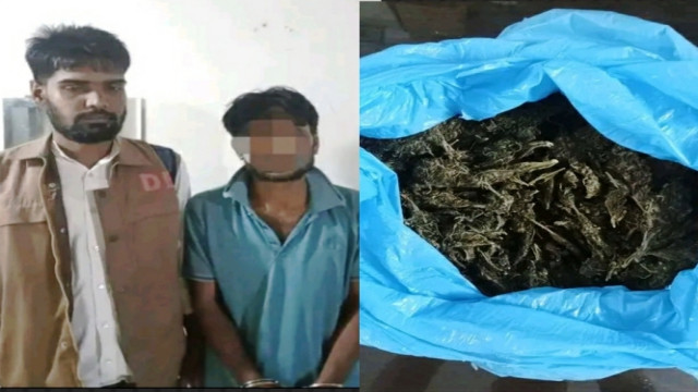 পিরোজপুরে বিশেষ অভিযানে ১কেজি গাঁজাসহ গ্রেফতার যুবক