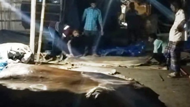 পলাশবাড়ীর কালীবাড়ী হাটে চামড়া বেচাকেনা-এখন শুধুই স্মৃতি!