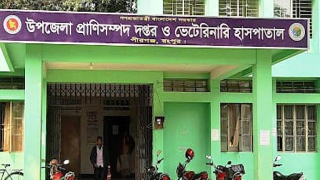জনবল সংকটে পীরগঞ্জ উপজেলা প্রাণিসম্পদ বিভাগ ভোগান্তিতে সাধারণ মানুষ।