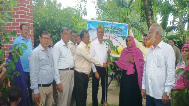 পীরগঞ্জে গ্রামীণ ব্যাংকের উদ্যোগে বৃক্ষরোপণ কর্মসূচি পালন