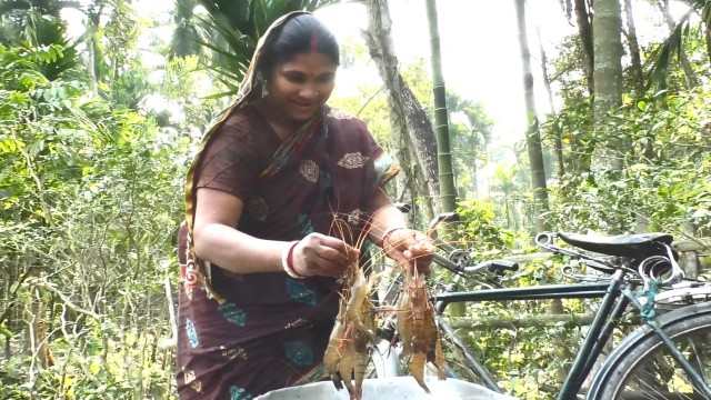 কুড়িগ্রামের প্রত্যন্ত গ্রামের পুকুরে বাংলা মাছের সাথে গলদা চিংড়ি চাষ