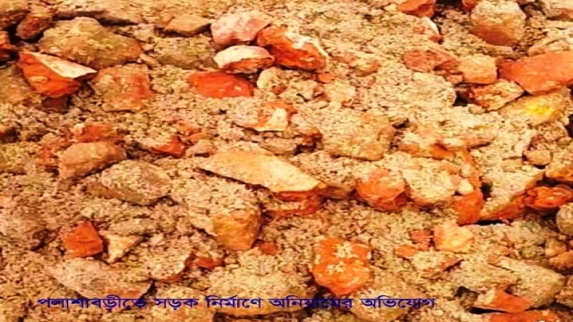 পলাশবাড়ীতে সড়ক নির্মাণে অনিয়মের অভিযোগ: প্রশ্নবিদ্ধ প্রকৌশলী ও ঠিকাদারের ভূমিকা