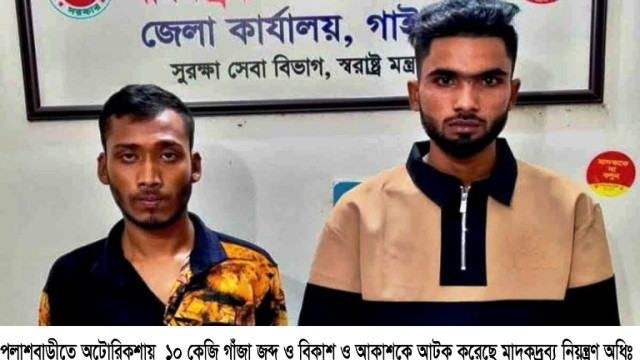পলাশবাড়ীতে অটোরিকশায় মিলল ১০ কেজি গাঁজা,গ্রেফতার ২