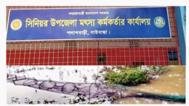 পলাশবাড়ীতে চায়না দুয়ারী জালের ব্যবহার ও মাছের অভয়াশ্রম যথাযথ রক্ষণাবেক্ষণের অভাবে বিলুপ্তির পথে দেশীয় মাছ