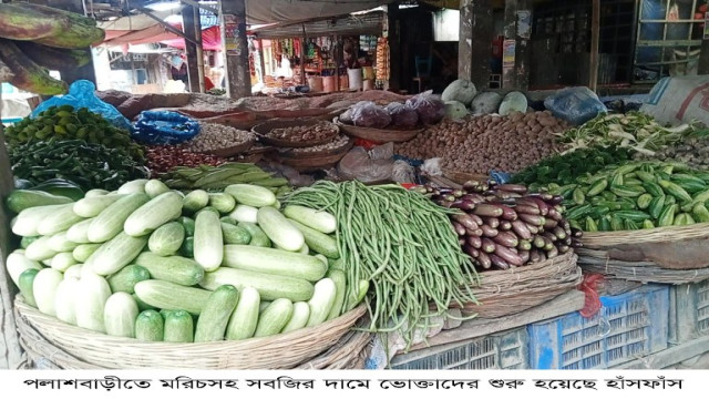পলাশবাড়ীতে মরিচসহ সবজির দামে ভোক্তাদের শুরু হয়েছে হাঁসফাঁস