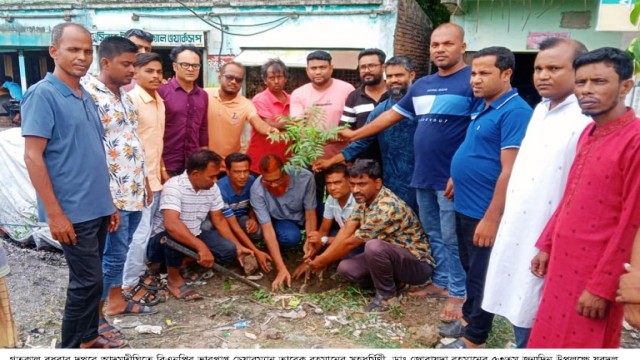 আদমদীঘিতে যুবদলের বৃক্ষরোপন কর্মসুচি