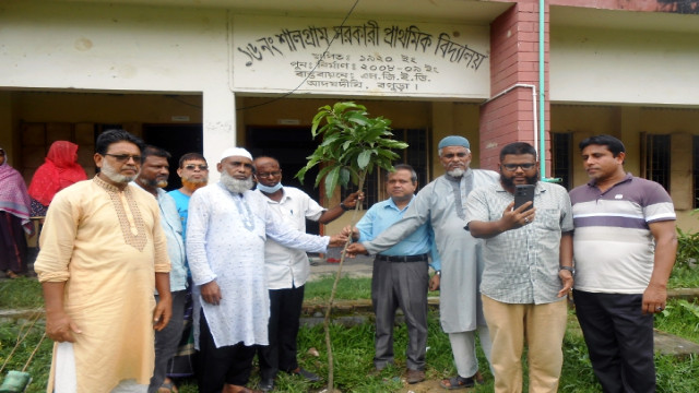 আদমদীঘির সালগ্রাম প্রাথমিক বিদ্যালয়ে বৃক্ষরোপন