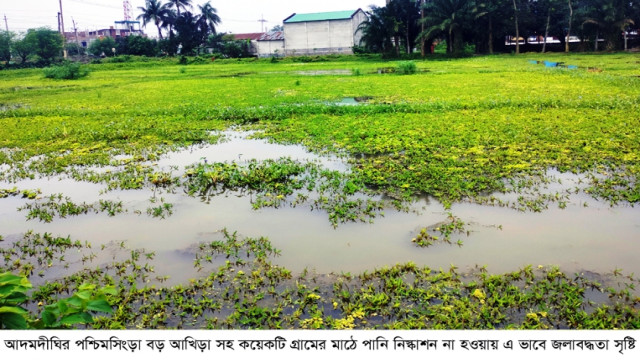 আদমদীঘিতে পানি নিস্কশনের ক্যানেল বন্ধ থাকায় ৫ শতাধিক বিঘা জমি অনাবাদি থাকার আশংকা