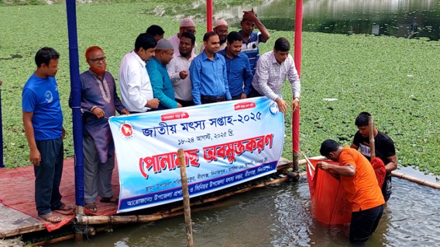 বীরগঞ্জে জাতীয় মৎস্য সপ্তাহ উপলক্ষে পোনা মাছ অবমুক্তকরন