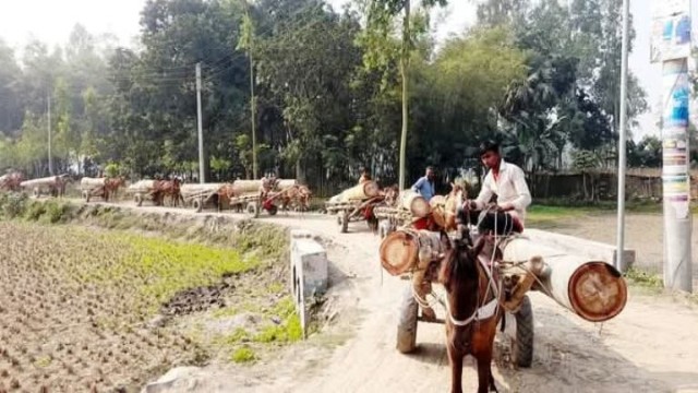 বাহারাম বাদশার ঘোড়ার গাড়ির আয়ে চলে সংসার