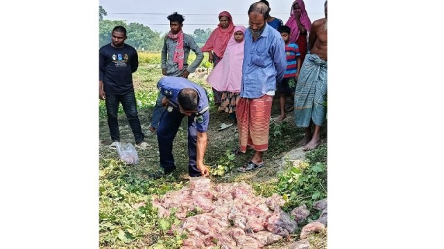 বদলগাছীতে ব্রিজের নিচ থেকে পরিত্যক্ত অবস্থায় ৮৪ প্যাকেট মাংস উদ্ধার