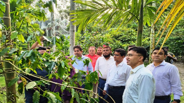 রাম্বুটান চাষে দৃষ্টান্ত নারী উদ্যোক্তা খাদিজা,পরিদর্শনে নীলফামারীর ডিসি