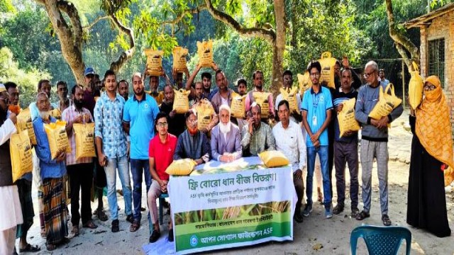 বগুড়ায় কৃষকদের মাঝে বিনামূল্যে রোগ প্রতিরোধী ধানবীজ বিতরণ