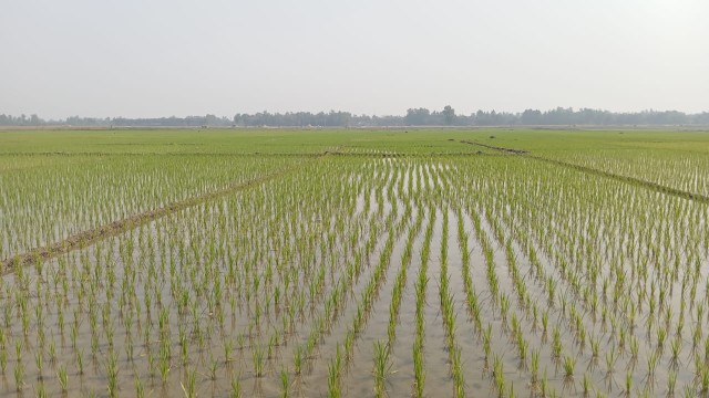 ১০ লাখ ৩৬ হাজার হেক্টর জমিতে পানি দিচ্ছে বিএমডিএ