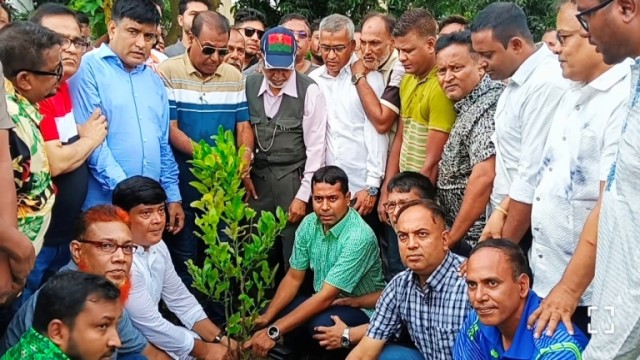 জুবাইদা রহমানের জন্মবার্ষিকীতে বগুড়ায় যুবদলের ২০ হাজার বৃক্ষরোপণ