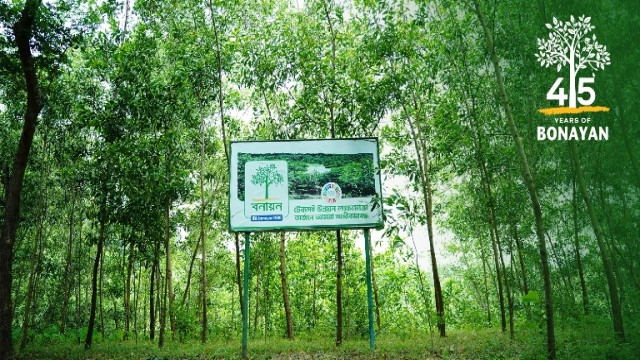 সবুজ বাংলাদেশের স্বপ্ন সারথি:বনায়নের চার দশকের অগ্রযাত্রা