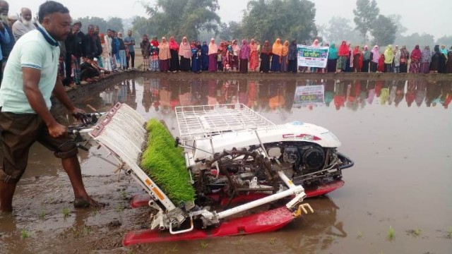 পঞ্চগড়ে কৃষি খাতে বৈপ্লবিক পরিবর্তন যান্ত্রিক পদ্ধতিতে ধানের চারা রোপণ।