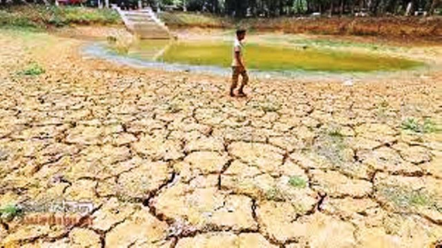 পঞ্চগড়ে ভরা বর্ষা মৌসুমে বৃষ্টিপাত না হওয়ায় আমন চারা রোপন করতে পারচ্ছেন না চাষিরা
